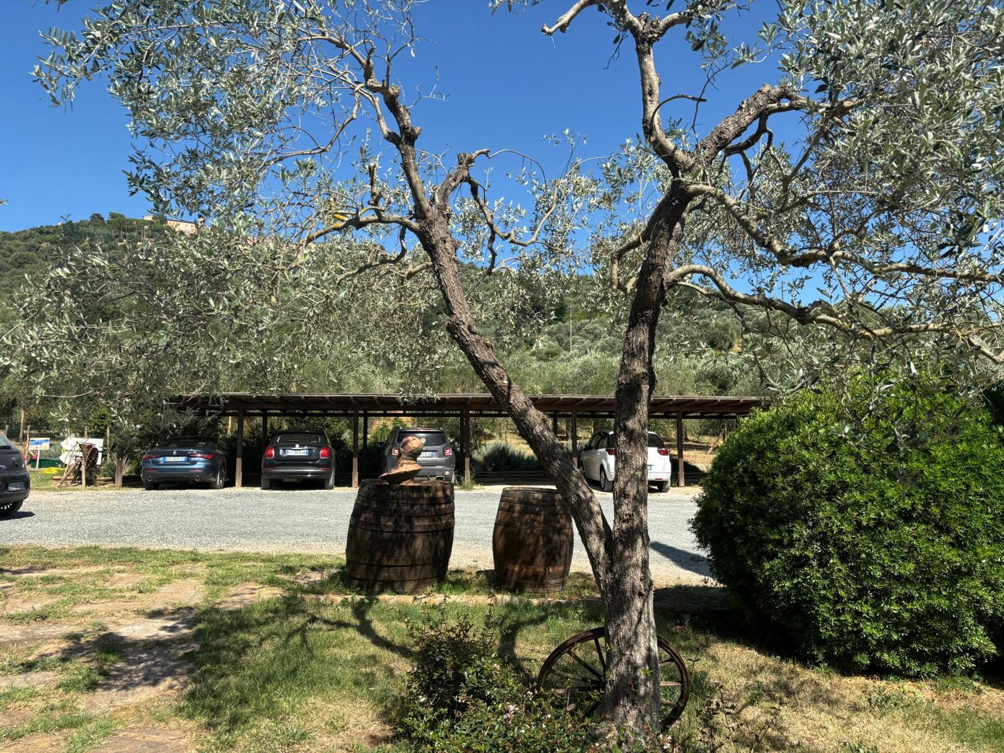 Nonna Nara Bed & Breakfast Grosseto Kültér fotó