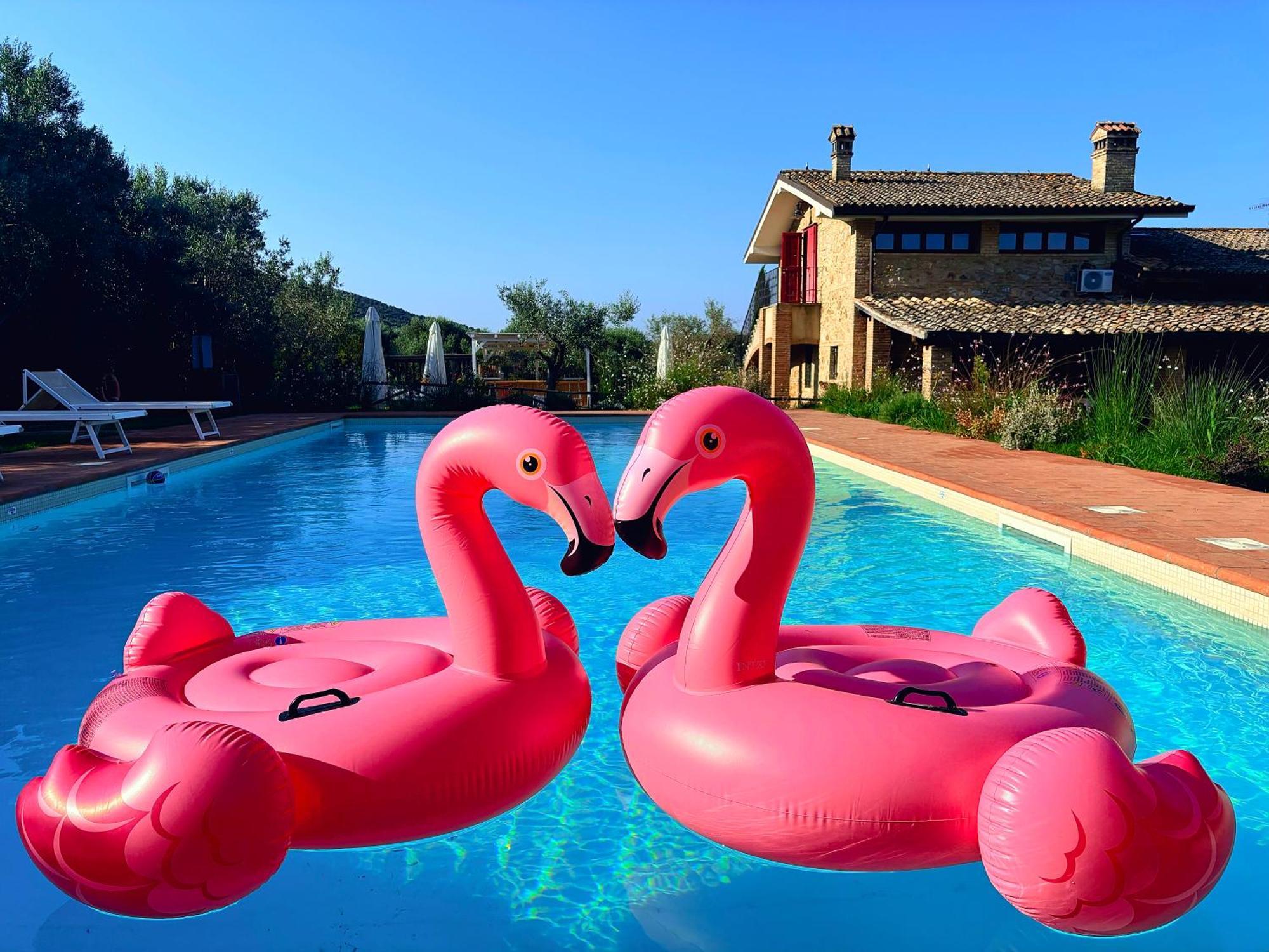 Nonna Nara Bed & Breakfast Grosseto Kültér fotó
