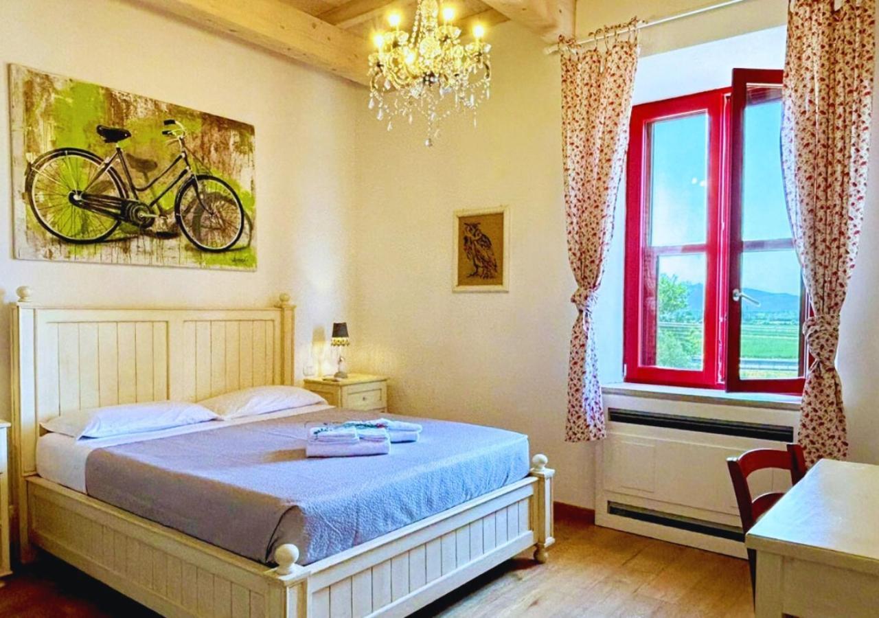 Nonna Nara Bed & Breakfast Grosseto Kültér fotó