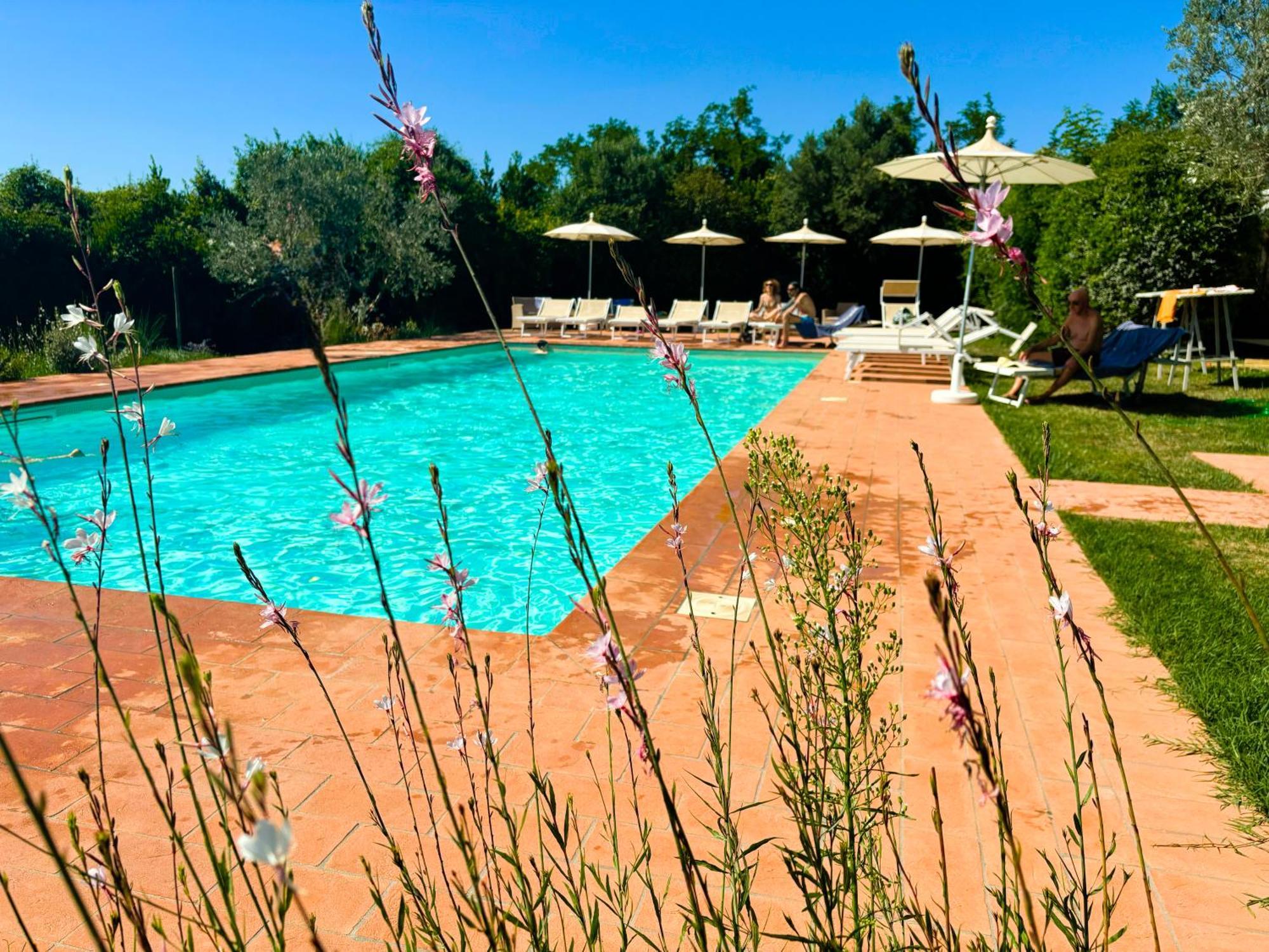 Nonna Nara Bed & Breakfast Grosseto Kültér fotó