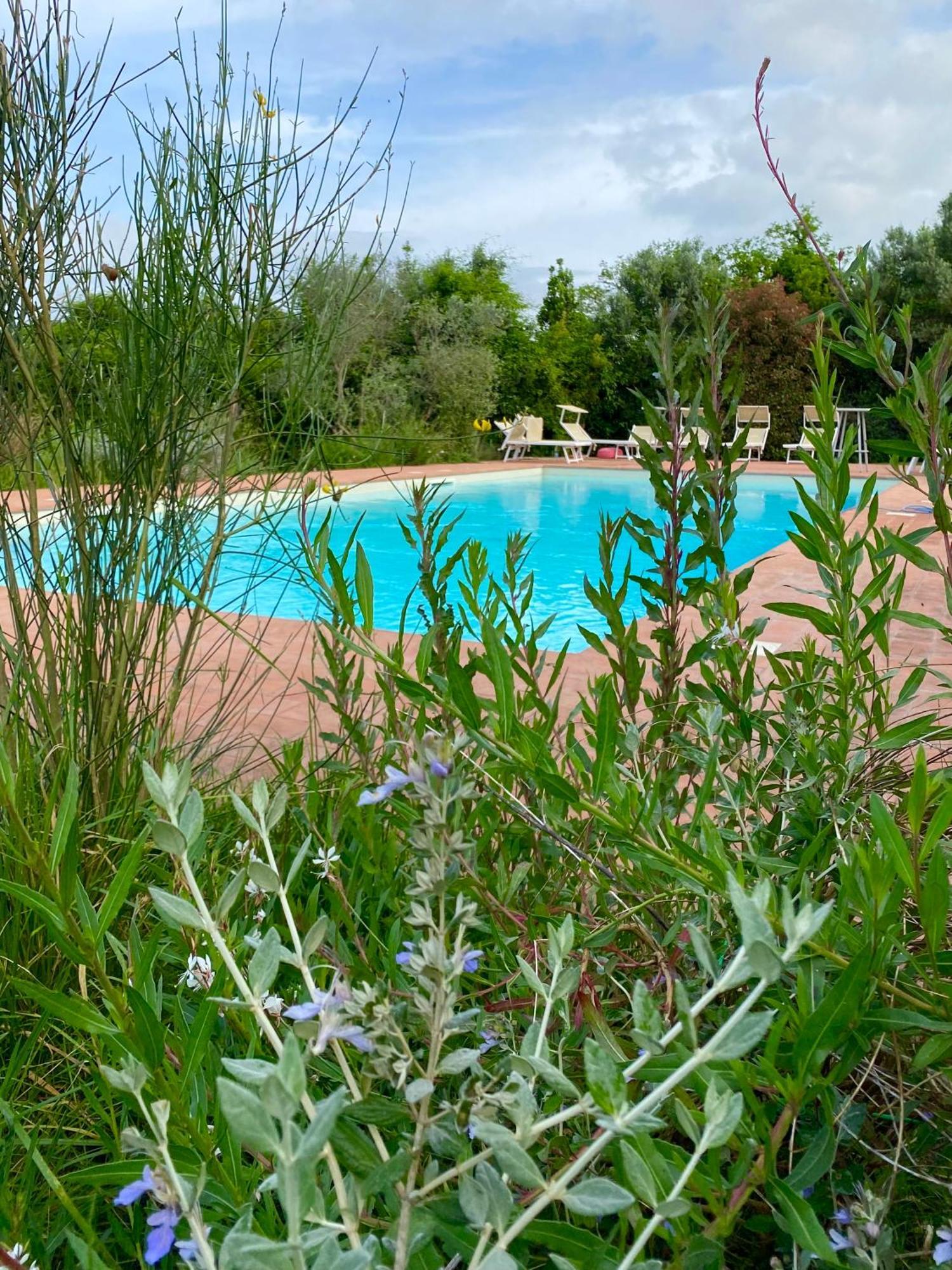 Nonna Nara Bed & Breakfast Grosseto Kültér fotó