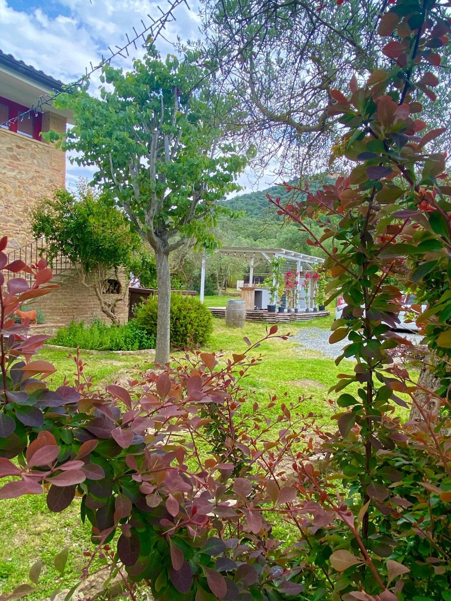 Nonna Nara Bed & Breakfast Grosseto Kültér fotó